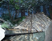 Thumbs/tn_020 Am Biberbau_1 11022004.jpg